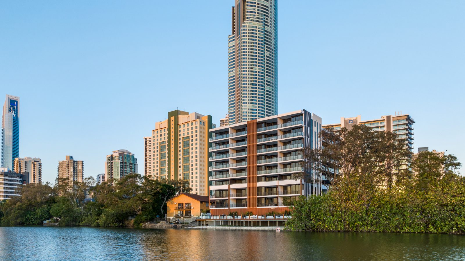 Essentia image